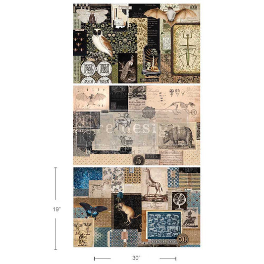 Fibra para decoupage de 19×30 – Manuscritos Místicos – 1 hoja, 19,5″ x 30″